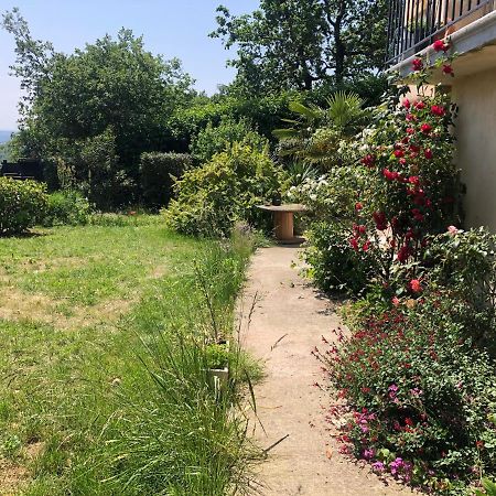 Apartament Le Jardin Suspendu Rillieux-la-Pape Zewnętrze zdjęcie