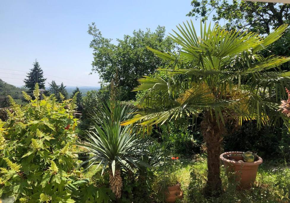 Apartament Le Jardin Suspendu Rillieux-la-Pape Zewnętrze zdjęcie