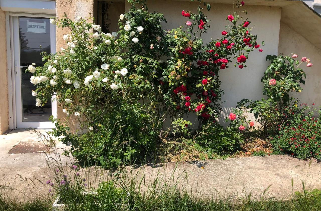 Apartament Le Jardin Suspendu Rillieux-la-Pape Zewnętrze zdjęcie