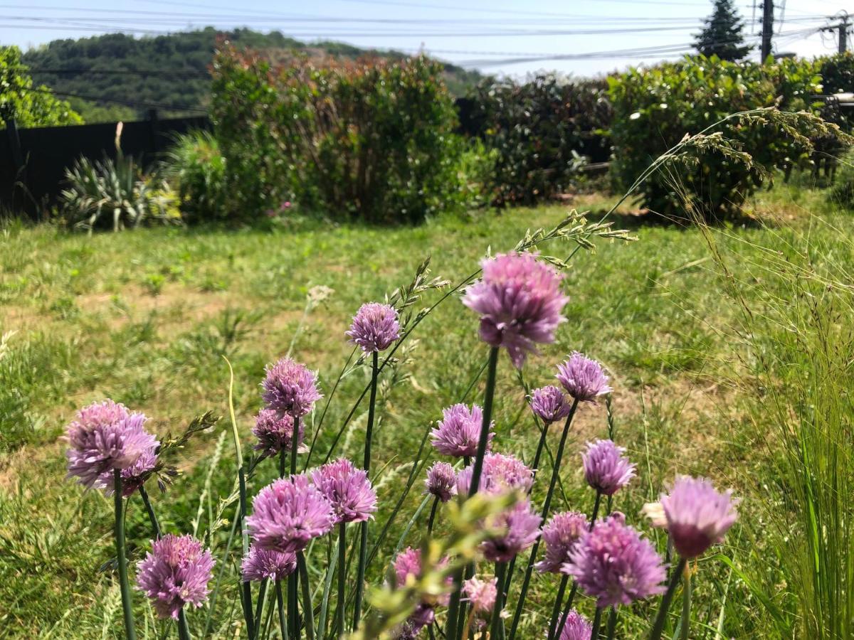 Apartament Le Jardin Suspendu Rillieux-la-Pape Zewnętrze zdjęcie