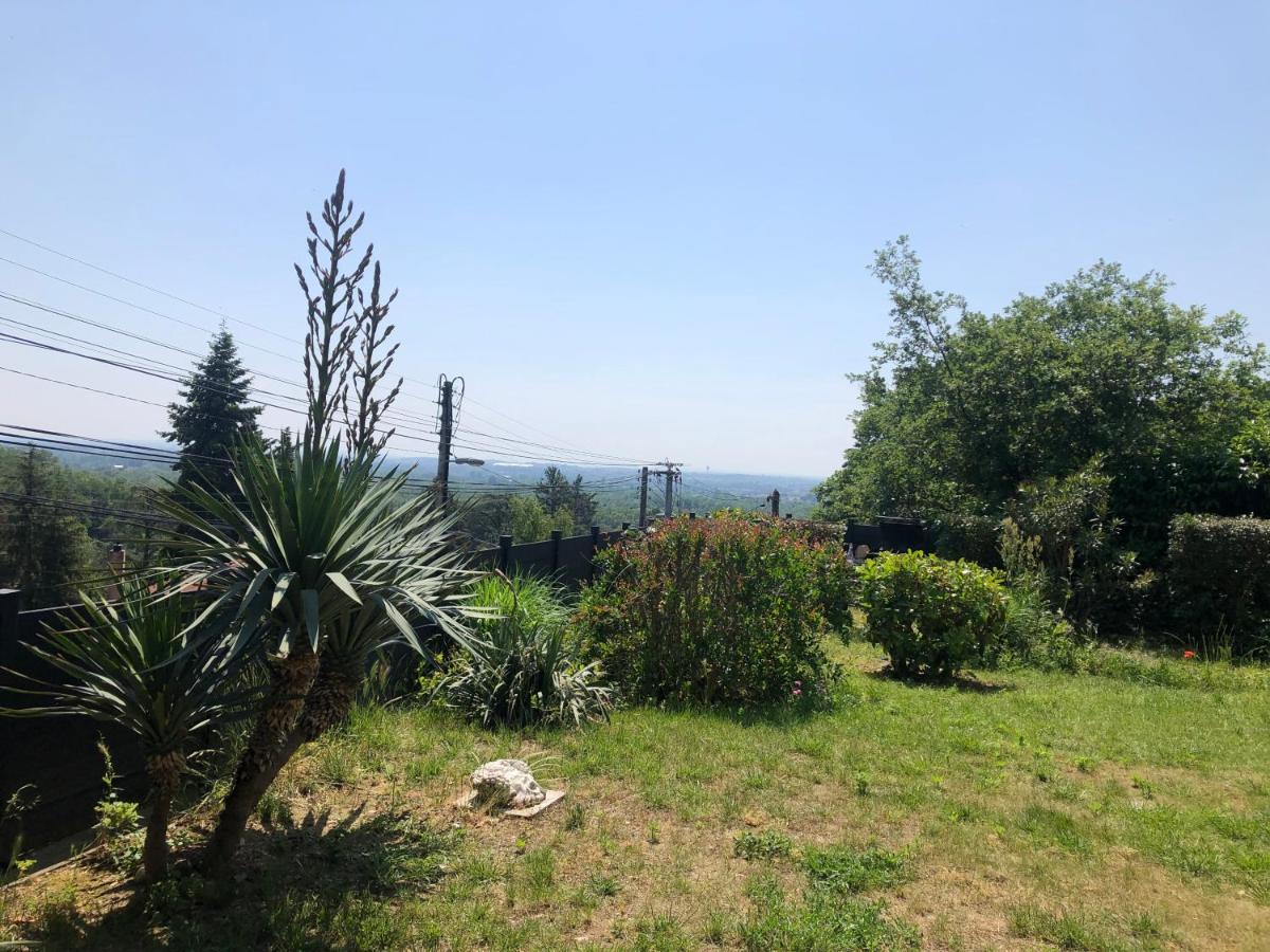 Apartament Le Jardin Suspendu Rillieux-la-Pape Zewnętrze zdjęcie